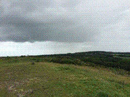 2016 Event Lyme Regis.gif